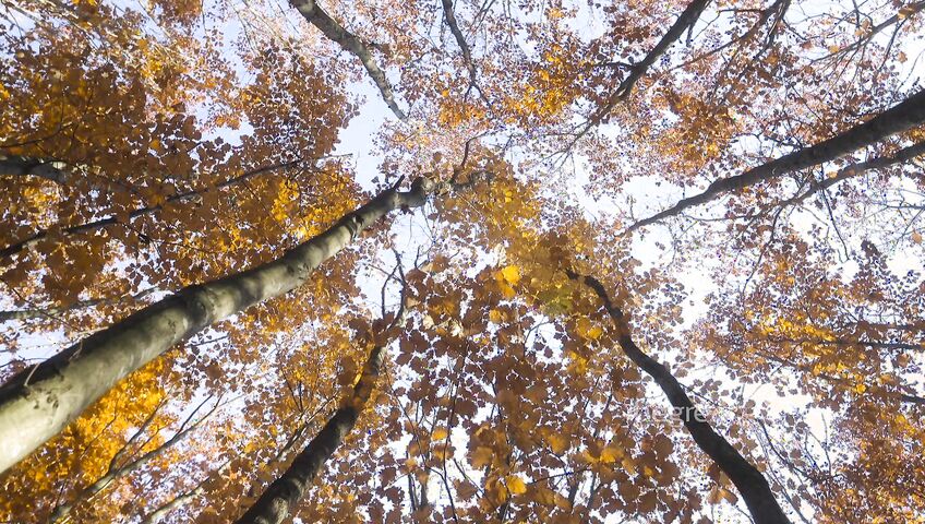 Hegre - A Day In The Life Of Tiana