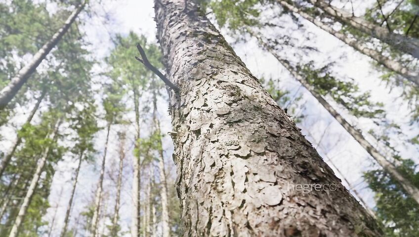 Hegre - A Day In The Life Of Yao