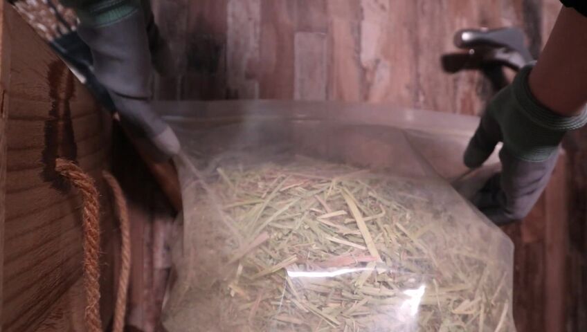 [ASMR]nara - 12 March 2026 - A Peaceful Stable Roleplay with Only the Sound of Brushing a Horse’s Coat​