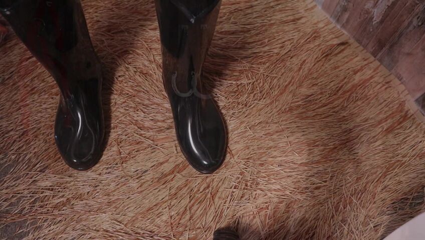 [ASMR]nara - 12 March 2026 - A Peaceful Stable Roleplay with Only the Sound of Brushing a Horse’s Coat​