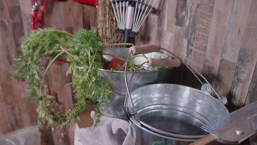 [ASMR]nara - 12 March 2026 - A Peaceful Stable Roleplay with Only the Sound of Brushing a Horse’s Coat​