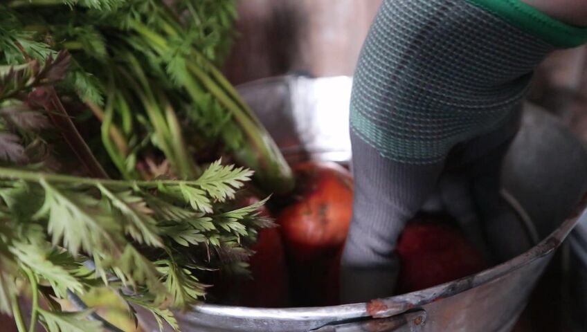 [ASMR]nara - 12 March 2026 - A Peaceful Stable Roleplay with Only the Sound of Brushing a Horse’s Coat​