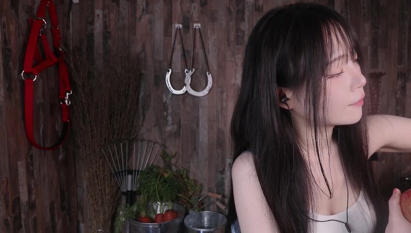 [ASMR]nara - 12 March 2026 - A Peaceful Stable Roleplay with Only the Sound of Brushing a Horse’s Coat​