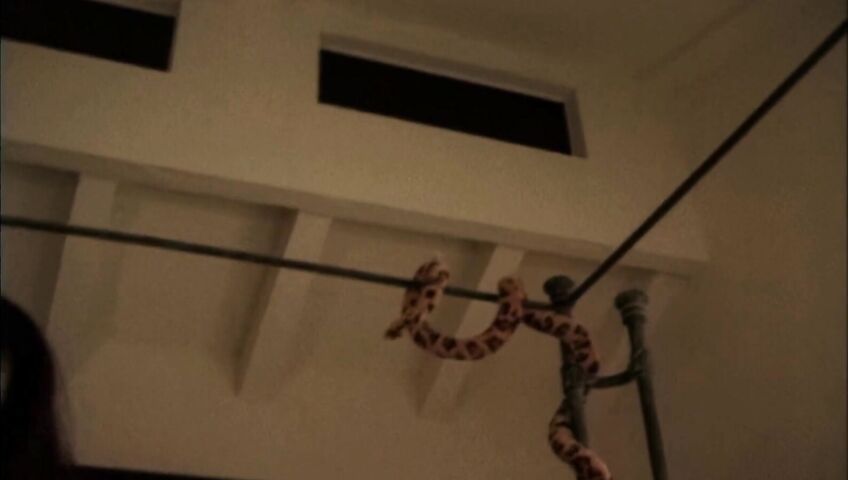 Blow Me 2 - Alisha Klass, Samantha Stylle