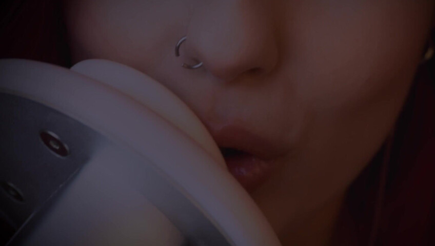 Alpaca ASMR - Ear Licking