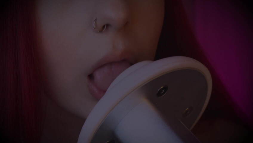 Alpaca ASMR - Ear Licking