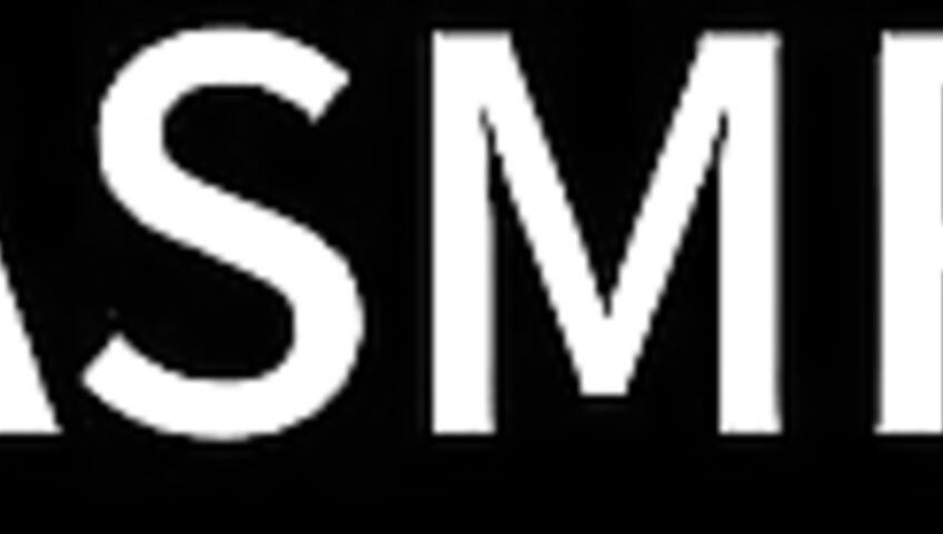 ASMR Yoonying 私人定制合作伙伴机器人