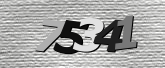 Obraz captcha