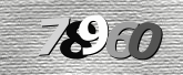 Obraz captcha