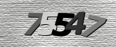 Obraz captcha