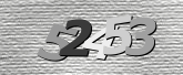 Obraz captcha