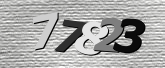 Obraz captcha