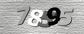 Obraz captcha