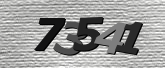 Obraz captcha