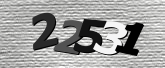 Obraz captcha