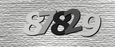 Obraz captcha
