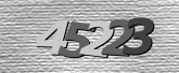 Obraz captcha