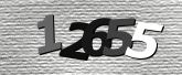 Obraz captcha