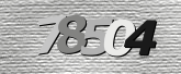 Obraz captcha