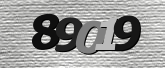 Obraz captcha