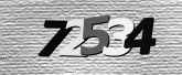 Obraz captcha