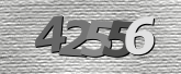 Obraz captcha