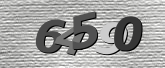 Obraz captcha