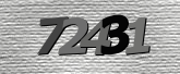 Obraz captcha