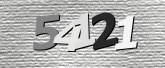 Obraz captcha