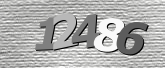 Obraz captcha