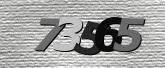 Obraz captcha