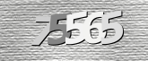 Obraz captcha