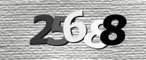 Obraz captcha