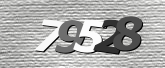 Obraz captcha