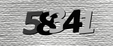 Obraz captcha