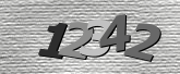 Obraz captcha