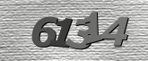 Obraz captcha