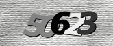 Obraz captcha