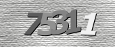 Obraz captcha