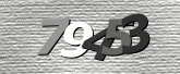 Obraz captcha