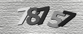 Obraz captcha
