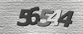 Obraz captcha