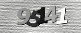 Obraz captcha