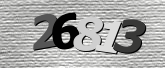 Obraz captcha