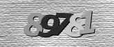 Obraz captcha