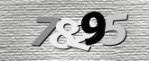 Obraz captcha