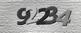 Obraz captcha