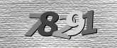 Obraz captcha