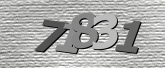 Obraz captcha