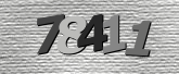 Obraz captcha